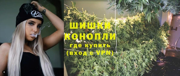 молекула духа Лиски