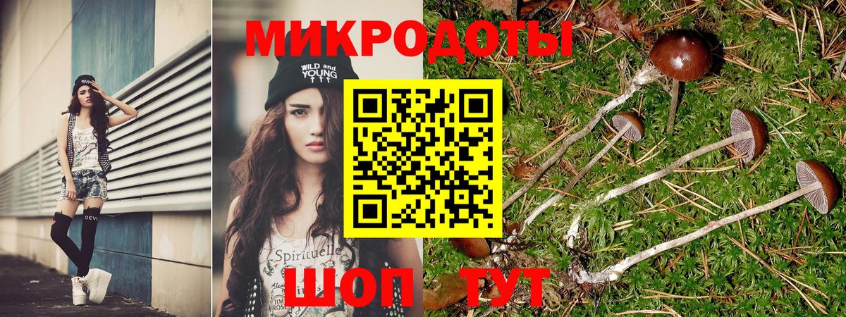 Псилоцибиновые грибы Psilocybine cubensis Железноводск