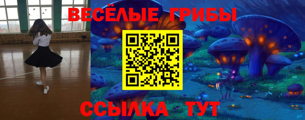 Галлюциногенные грибы MAGIC MUSHROOMS  Галлюциногенные грибы Psilocybe  Вход с VPN  Железноводск 