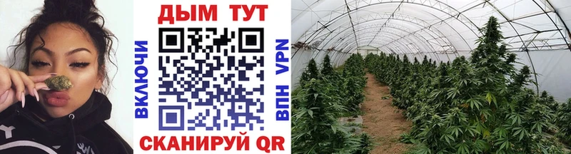 Канабис индика  что такое   Железноводск 